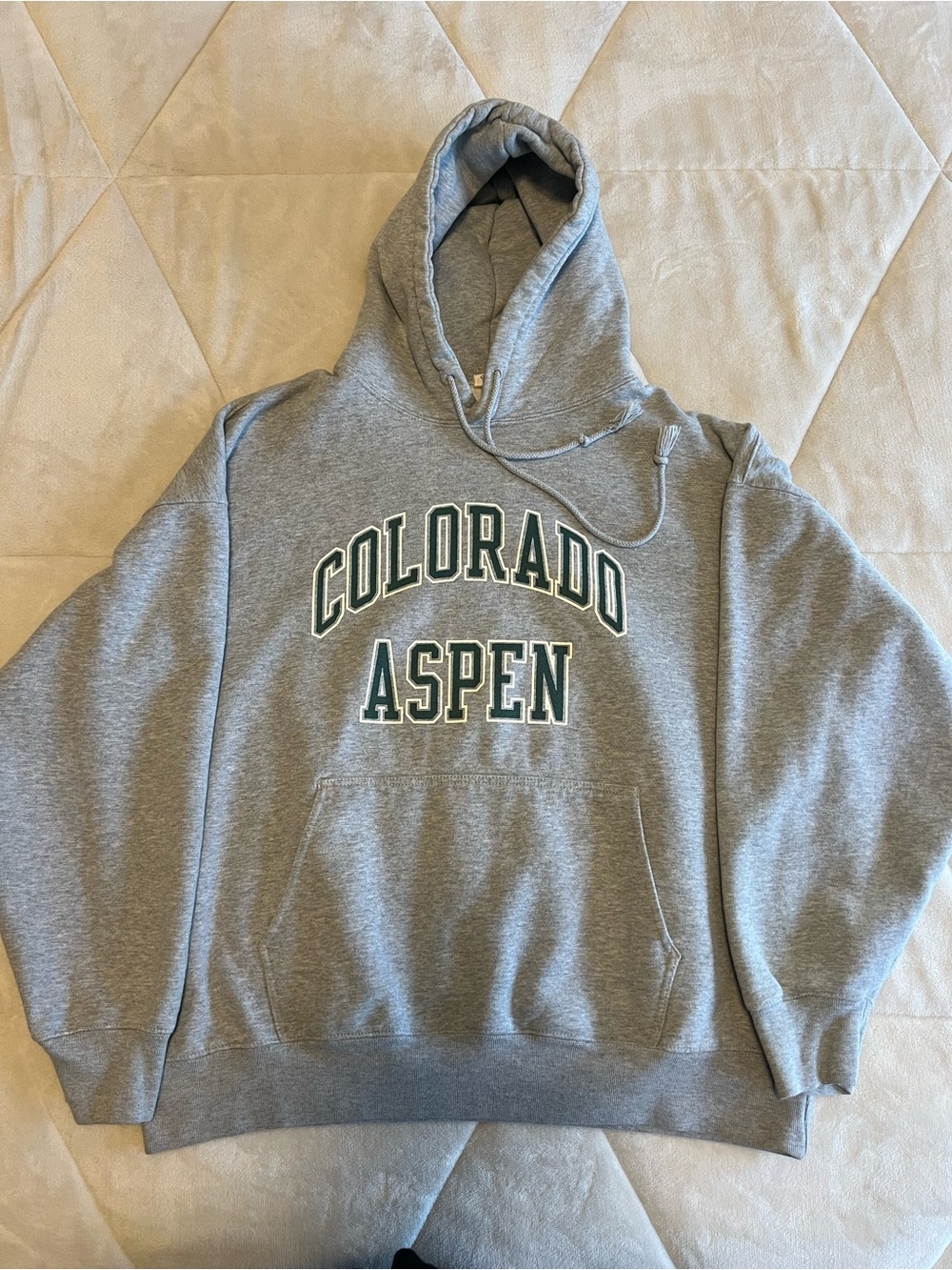 Brandy Melville Gray 'Colorado Aspen' Hooded Sweatshirt
